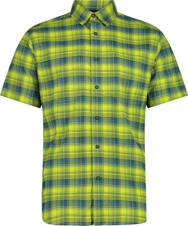 Acido, Alpino, Lichene