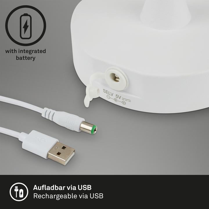 Actual product image Briloner Bene (340 lm)