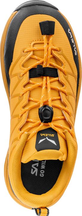 Image du produit Salewa Kid's Wildfire 2 (38)