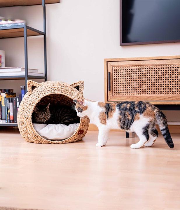 Image du produit Pet & Co. Simba (Chat)