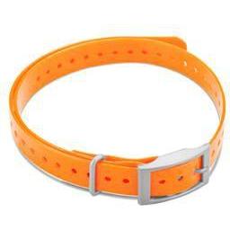 Garmin Cinghia del collare con fibbia quadrata (3, Cane, Generale), Collare + Guinzaglio