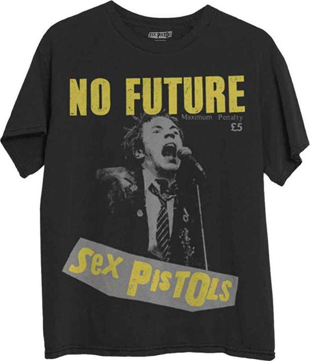 Sex Pistols No Future