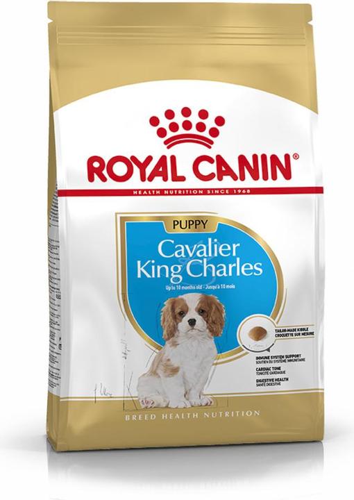 Produktbild Royal Canin Junior Cavalier Charles (Junior, 1 Stk., 1500 g)