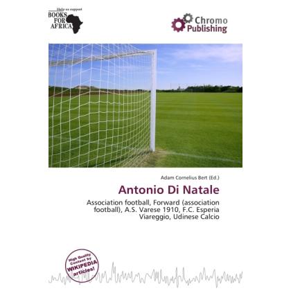 Antonio Di Natale, Ratgeber