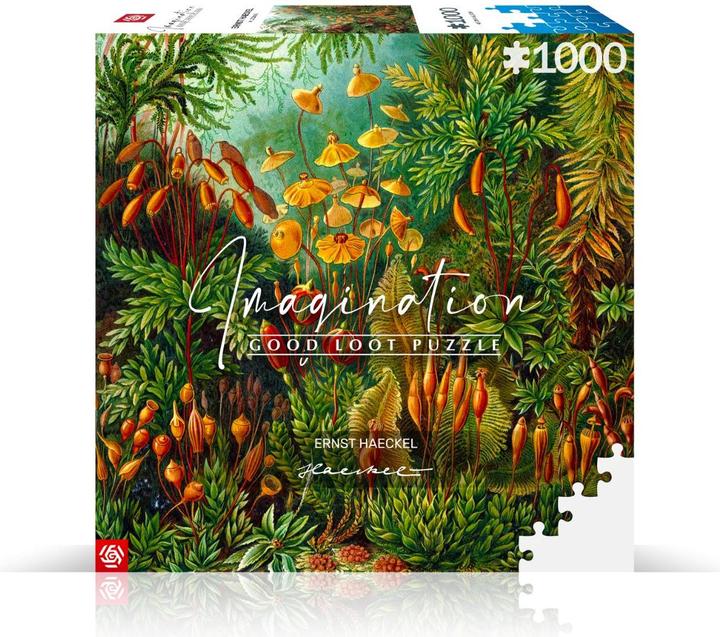 Actual product image Good Loot Puzzle 1000 Ernst Haeckel Muscinae (1000 pieces)
