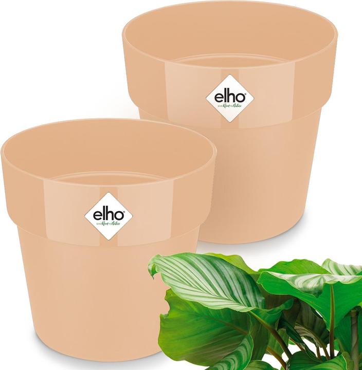 Produktbild Elho Blumentopf