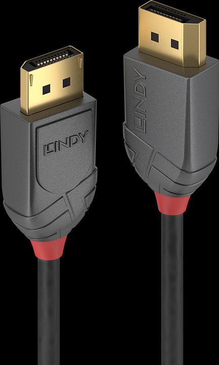 Lindy DisplayPort — DisplayPort (0.50 m, DisplayPort)
