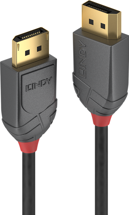 Productafbeelding Lindy DisplayPort - DisplayPort (0.50 m, DisplayPort)