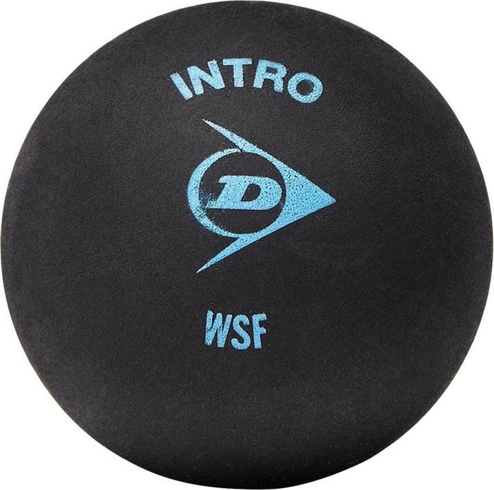 Actual product image Dunlop Intro SquashBalls 12-pack