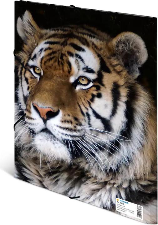 Image du produit HERMA Porte-documents A4 Motif (A4, 1 x)