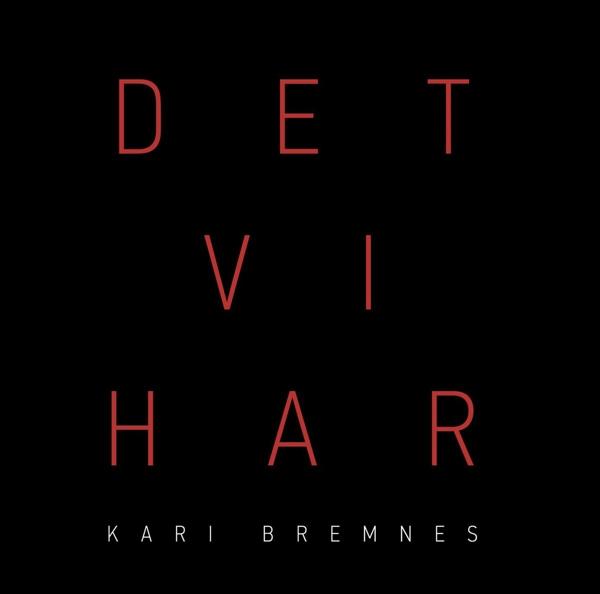 Produktbild Det vi har (Kari Bremnes)