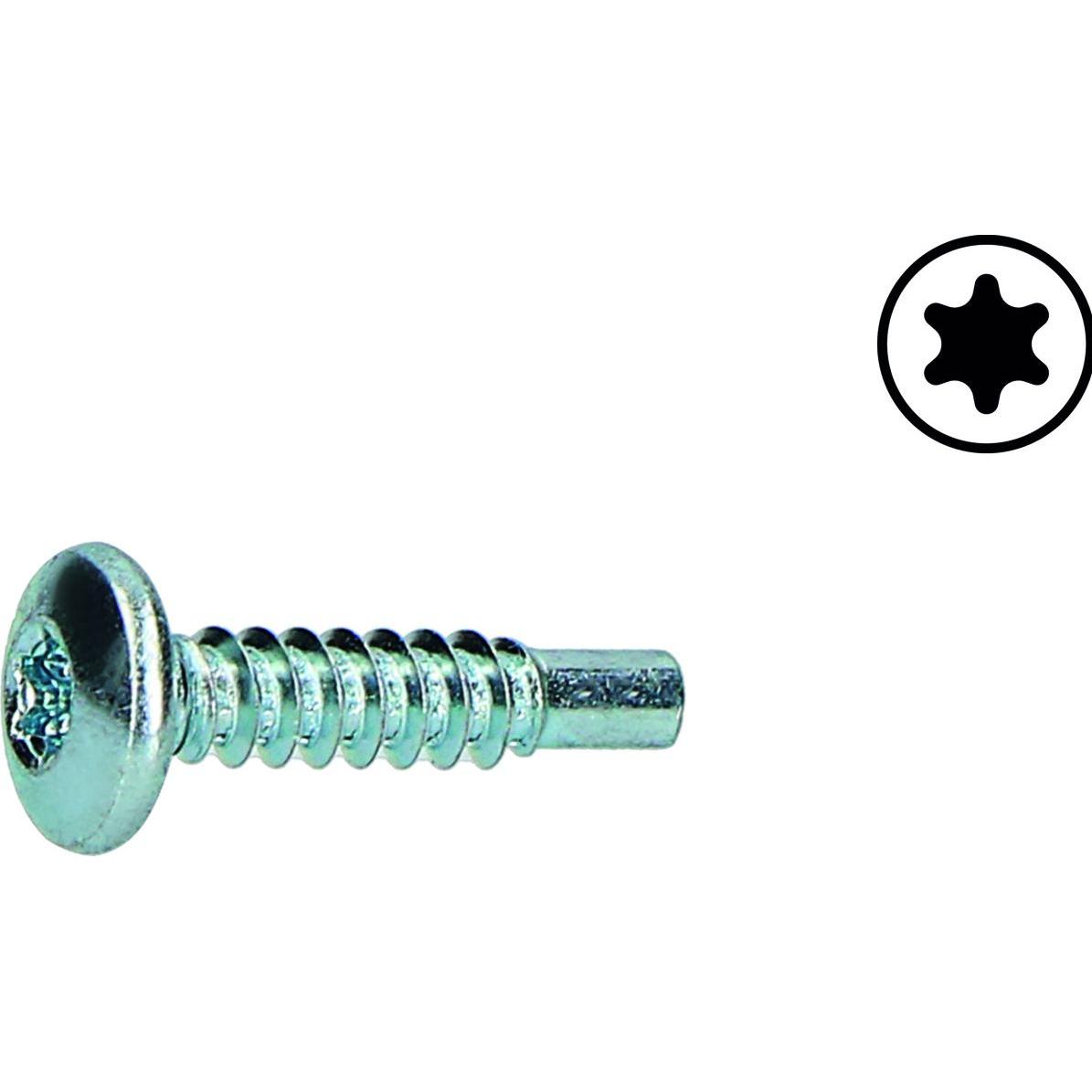 Heusser, Schrauben, Blechschrauben (50 Schrauben pro Stück)