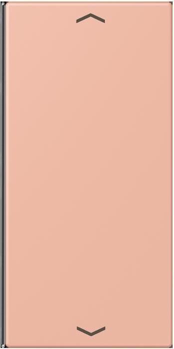 Produktbild JUNG Taste