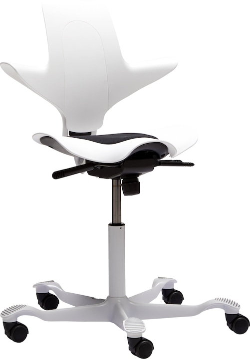 HAG Capisco Puls 8010
