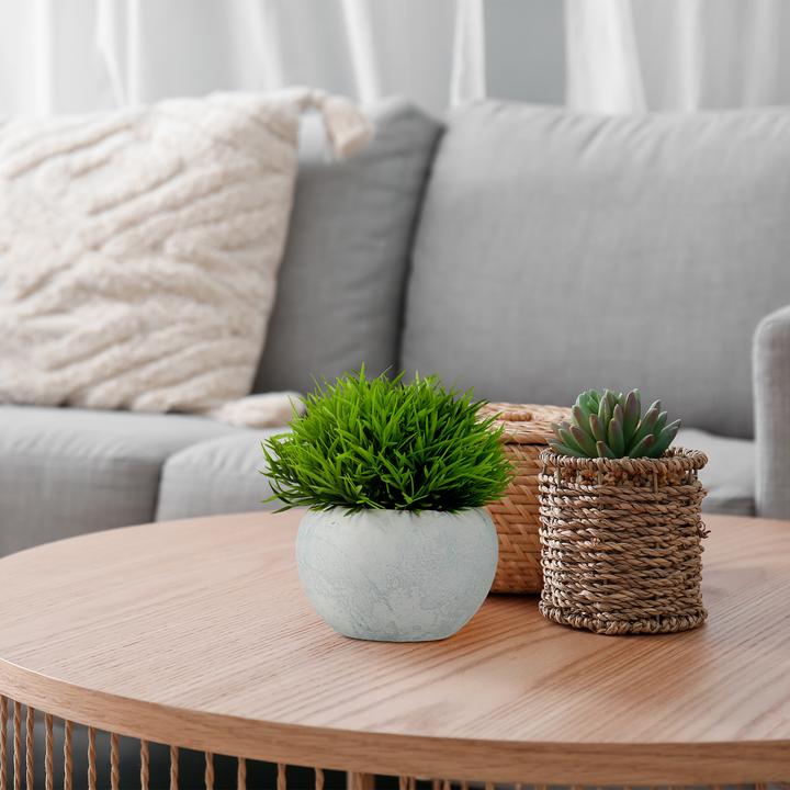 Produktbild Relaxdays Kunstpflanzen Set (12 cm)