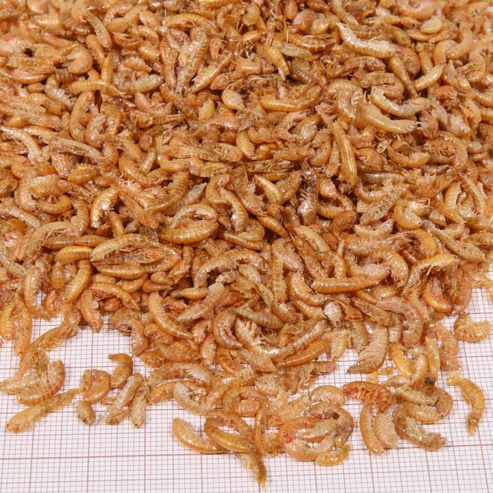 Immagine prodotto JBL Aquaristik und Terraristik Proterra Gammarus, 750ml (1 x, 0.08 kg)