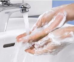 Actual product image Tork Foam soap mildly scented hand soap (Soap lotion, 525 ml)