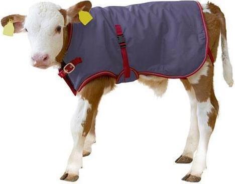 Kerbl Kälberdecke ThermoPlus, 80cm