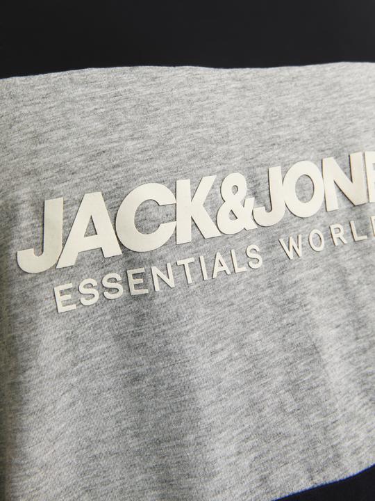 Produktbild Jack & Jones Jjelegacy Blocking Tee Ss O-Neck Noo Pls (6XL)