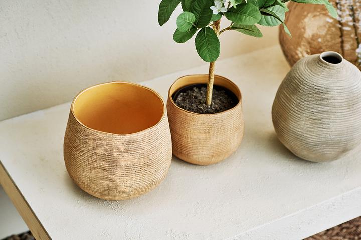 Produktbild edy&liv Synsia (20 x 17.50 cm)