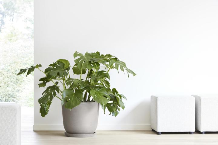 Image du produit Ecopots Oslo (55 cm)