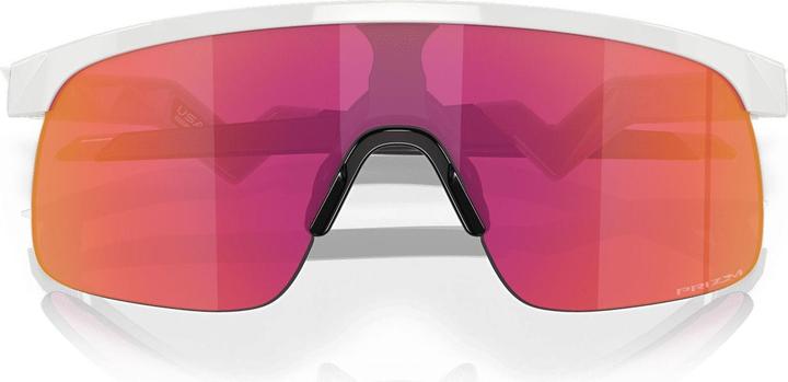 Actual product image Oakley Resistor (Polished white, White glossy, prizm field)