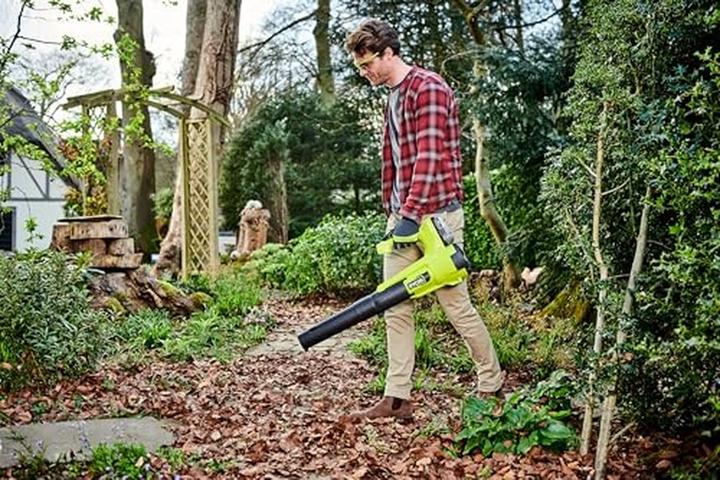 Actual product image Ryobi Dmuchawa akumulatorowa (Battery operated, Leaf blower)