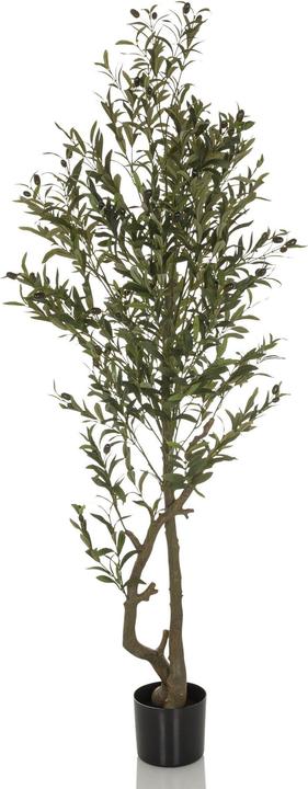 Bümö Kunstpflanze Olivenbaum (172 cm)