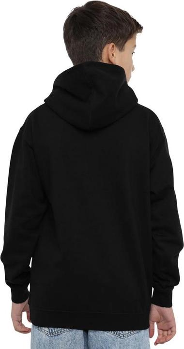 Produktbild Kapuzenpullover (116)