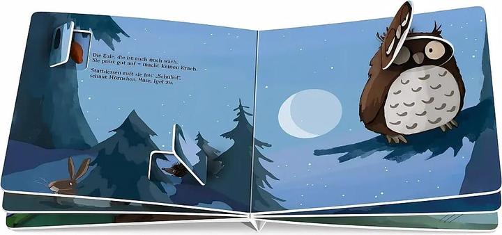 Actual product image Nanu! Wer ist denn da noch wach? (German)