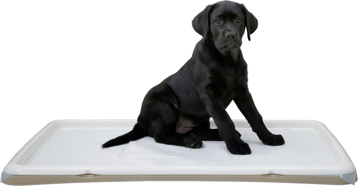 Produktbild Kerbl Welpentoilette XL, passende Pads, Welpen kranke und ältere Hunde, 60x90cm (Hund)