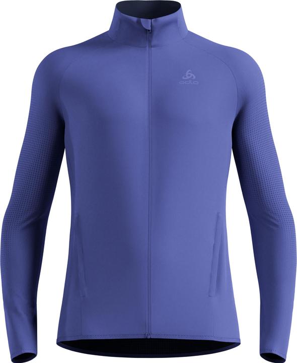 Blu skipper