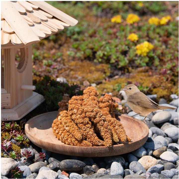 Produktbild Lyra Pet Kolbenhirse (1 x, 1 kg)