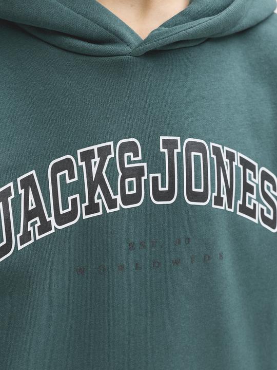 Image du produit Jack & Jones Jjecaleb Varsity Sweat Hood Noos Jnr (152)