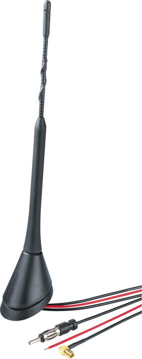 Hama Antenne de toit
