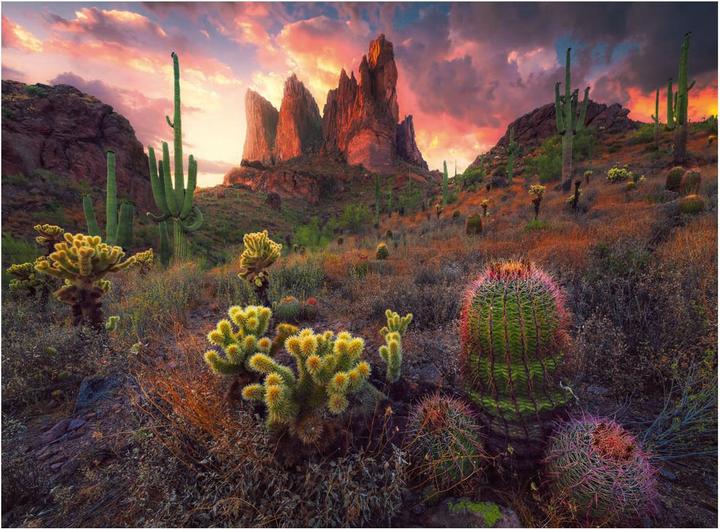 Produktbild Ravensburger Puzzle 12001380 - Spikes - 500 Teile Puzzle für Erwachsene ab 12 Jahren (500 Teile)