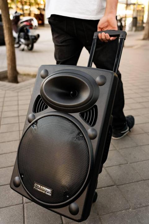 Immagine prodotto Dynasonic Dynapro 12 Plus (Attivo, 1x 700 W)