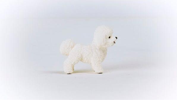Immagine prodotto Schleich Bichon Frisé