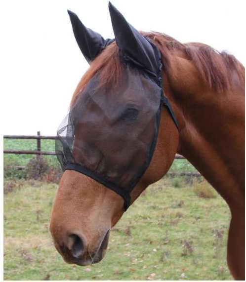Actual product image Waldhausen Fly mask Basic