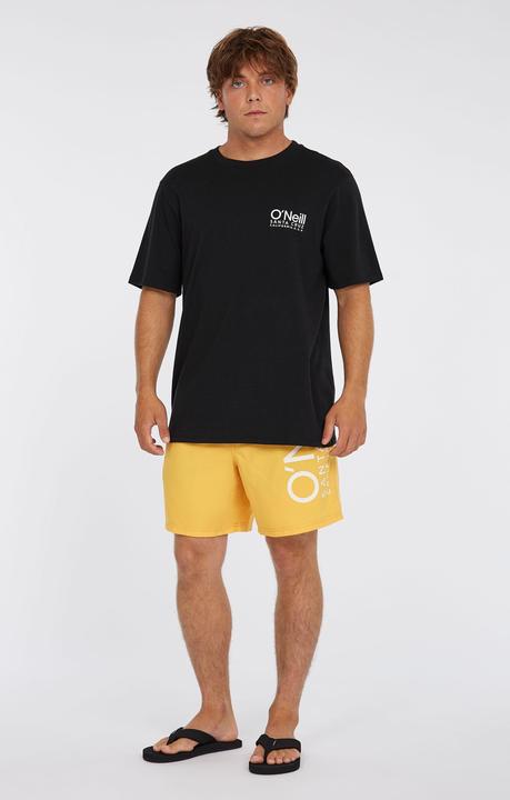 Produktbild O'Neill Original Cali 16" Swimshorts (XXL)