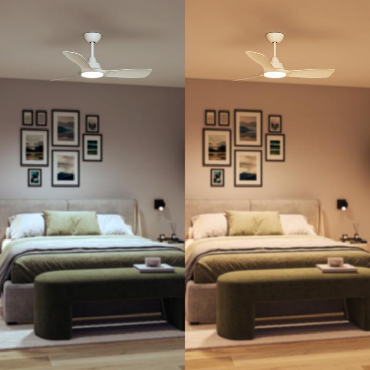 Actual product image Philips Ceiling fan light