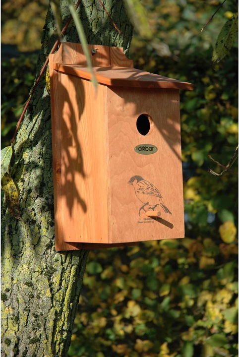 Actual product image Dobar Nest Box with Motif House Sparrow 17 x 18 x 35 cm