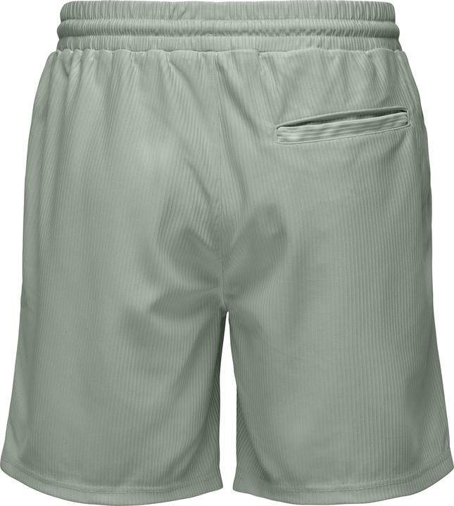 Actual product image Only & Sons Onstel Life Plizze Shorts Noos (XL)