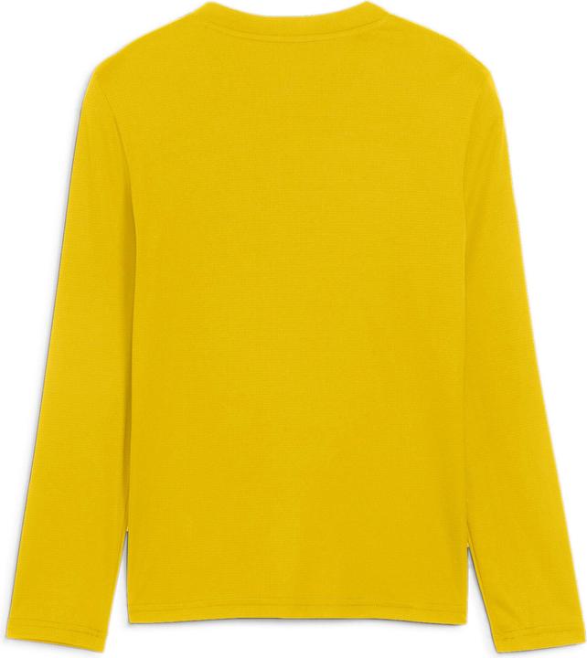 Actual product image Puma teamGOAL Baselayer Tee LS Jr. (140)