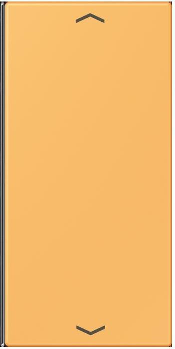 Produktbild JUNG Taste