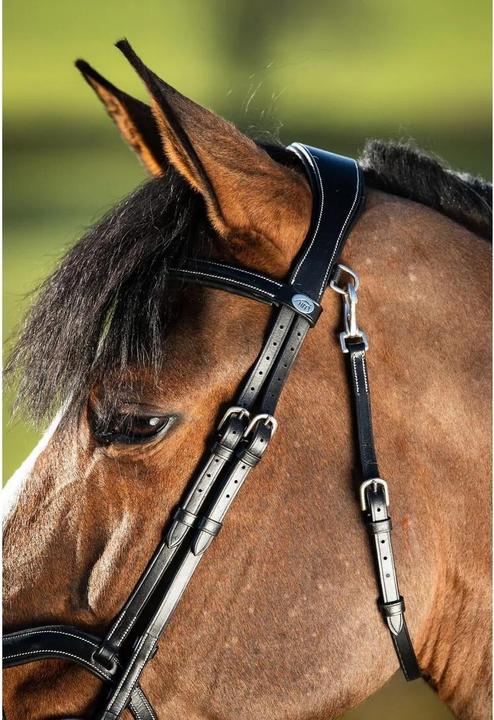 Produktbild HFI Master Techno