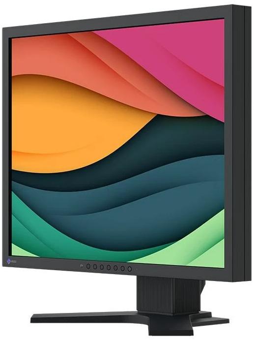 Actual product image Eizo S2134 FlexScan (1600 x 1200 pixels, 21.30")