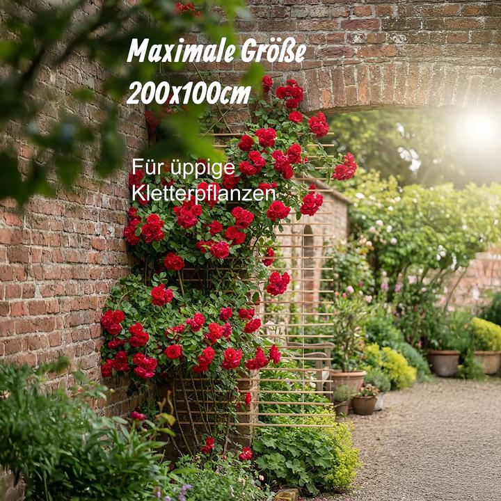 Produktbild Relaxdays Wandspalier (1 cm, 100 cm)