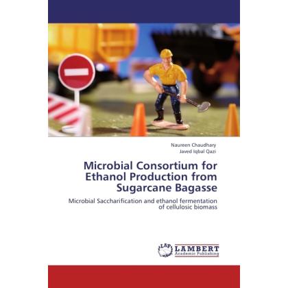 Microbial Consortium for Ethanol Production from Sugarcane Bagasse, Fachbücher von Javed Iqbal Qazi, Naureen Chaudhary