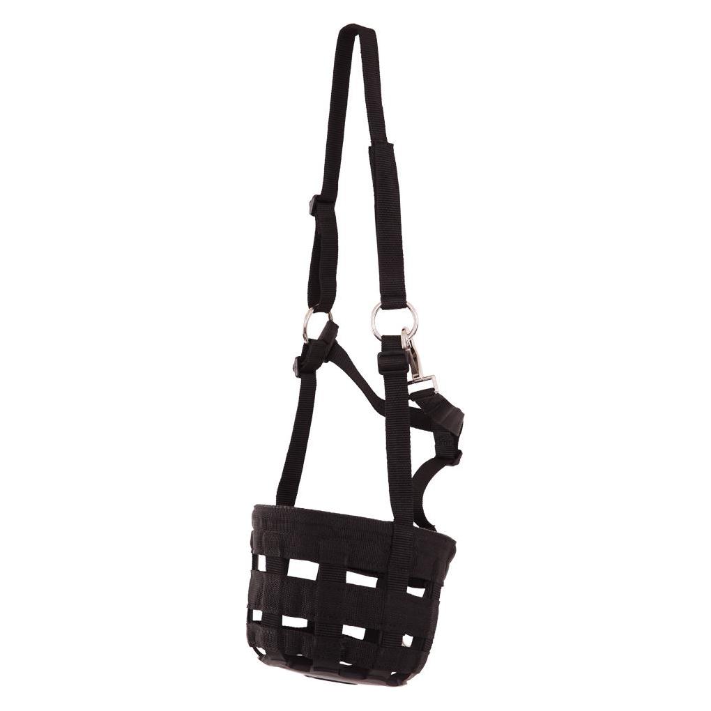 Br Equestrian Equipment, Halfter